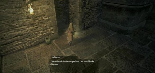 Escort Aelinore to the exit, killing guards - Duchess In Distress - Act III and further - Dragons Dogma - Game Guide and Walkthrough