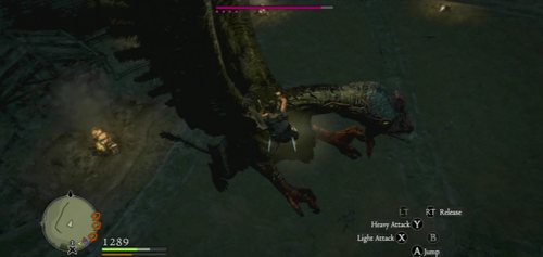 Description: The Cockatrice is a flying beast that resembles the Griffin, but with the head of cock - Cockatrice - Bestiary - Dragons Dogma - Game Guide and Walkthrough