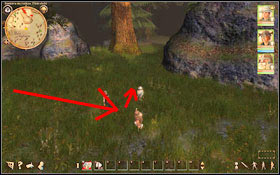 2 - Z2. Treasure hunt - Side quests - Drakensang: Phileassons Secret - Game Guide and Walkthrough