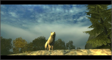 White fur M1(25) appears along with the regular wolves - Chapter 1 - Sidequests - Chapter 1 - Drakensang: The Dark Eye - Game Guide and Walkthrough