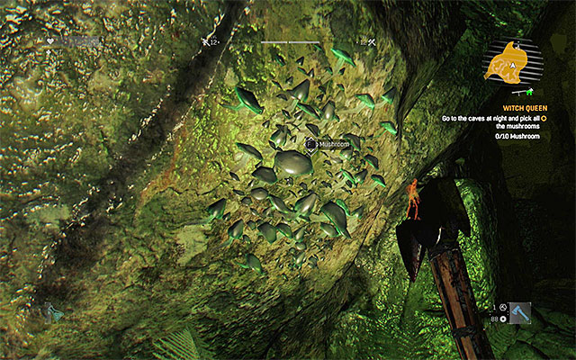 An example of a mushroom that can be found in the cave. - 27: Witch Queen - Side quests - The Slums - Dying Light - Game Guide and Walkthrough