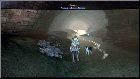 9 - Bowerstone Resistance - p. 2 - Walkthrough - Fable III - Game Guide and Walkthrough