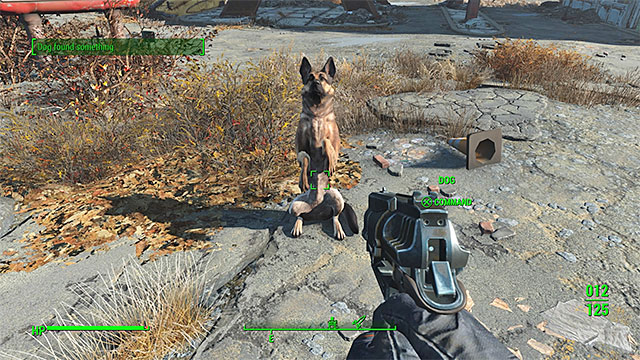 Dogmeat - List of companions - Companions - Fallout 4 - Game Guide and Walkthrough