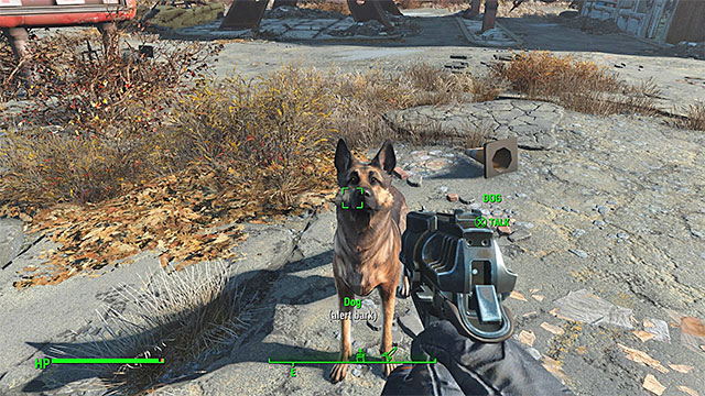 Find the dog and talk to the animal - How to add Dogmeat as a companion? - FAQ - Fallout 4 - Game Guide and Walkthrough