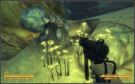 Your next task is to get night stalker eggs - Bleed Me Dry - Side quests - Fallout: New Vegas - Game Guide and Walkthrough