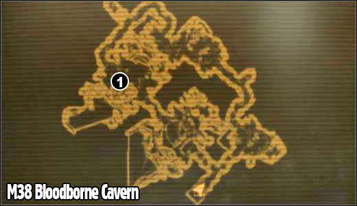 1 - M38 - Bloodborne Cavern - Maps - Fallout: New Vegas - Game Guide and Walkthrough