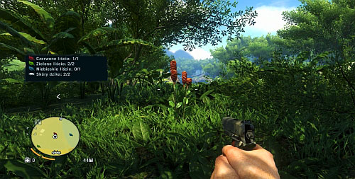 Apart from two boar hides, you also need to collect two green, a blue, and crimson plant - Harvest The Jungle - Main missions - Far Cry 3 - Game Guide and Walkthrough