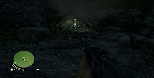 Once you start hallucinating, go forward - Mushrooms In The Deep - Main missions - Far Cry 3 - Game Guide and Walkthrough
