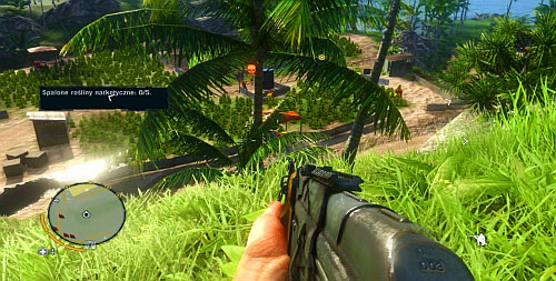 When you are at the further crops, you should also remain on the hillock to the right - Kick the Hornet's Nest - Main missions - Far Cry 3 - Game Guide and Walkthrough