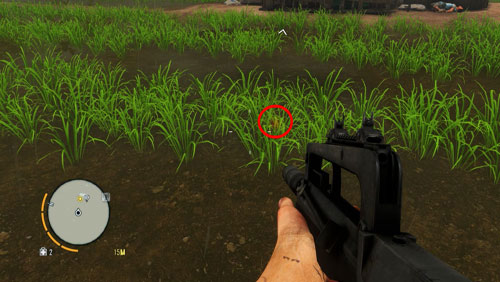 The problem starts when you enter the area overgrown with grass - A Man Named Hoyt - Main missions - Far Cry 3 - Game Guide and Walkthrough