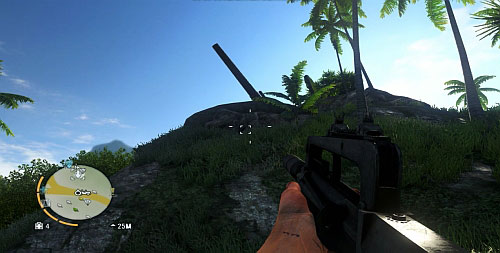 In the marked area, you will find the cannon shown in the screenshot - The Northern Island - North-western part - Cult Objects - Far Cry 3 - Game Guide and Walkthrough
