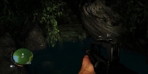 You will find yourself in front of a waterfall, which you need to swim behind - The Northern Island - South-western part - Cult Objects - Far Cry 3 - Game Guide and Walkthrough