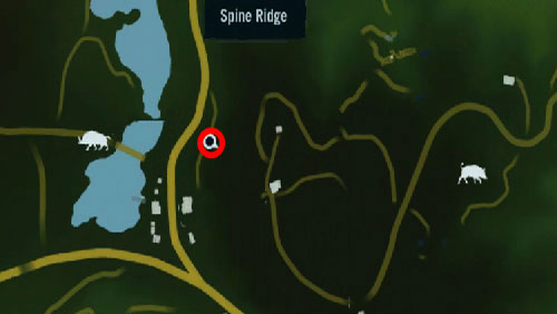 Follow the road marked with the number, to find a cave inside which there is the statuette - The Southern Island - North-western part - Cult Objects - Far Cry 3 - Game Guide and Walkthrough