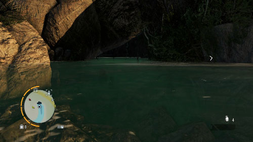 Before you come here, prepare the Deep Dive syringe - The Southern Island - South-eastern part - Cult Objects - Far Cry 3 - Game Guide and Walkthrough