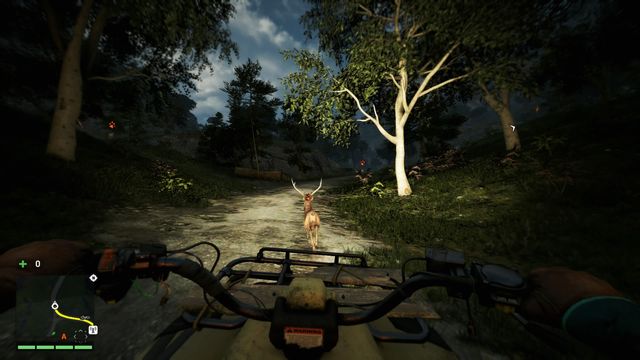If you cant catch a running animal you can just run over it and then exit your vehicle and without any problem take the carcasss skin. - Hunting - The Basics - Far Cry 4 - Game Guide and Walkthrough