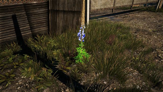 The color of the flower tells you what kind of leaf you will receive. - Syringes - The Basics - Far Cry 4 - Game Guide and Walkthrough