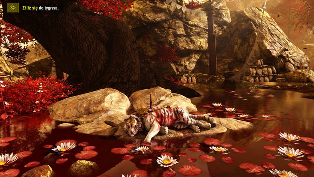 The next package you will find in the cave. Beware of the bear which is prowling in this area. - Sermon on the Mount - Main Quests - Far Cry 4 - Game Guide and Walkthrough