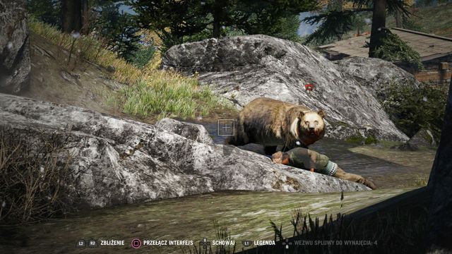 The bear is very irritated - in the case of a charge, get off its way. - Kyrat Fashion Week - Activities - Far Cry 4 - Game Guide and Walkthrough