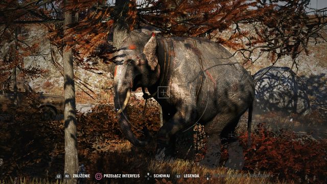 Kill the elephant by the tactic of lightning raids and lightning escapes. - Kyrat Fashion Week - Activities - Far Cry 4 - Game Guide and Walkthrough