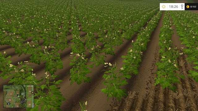 Young potatoes will soon ripen. - Sugar beets and potatoes - Plants - Farming Simulator 15 - Game Guide and Walkthrough