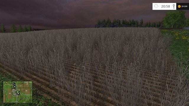 Plants that are left on the field for too long will wither. - Comparison - Plants - Farming Simulator 15 - Game Guide and Walkthrough