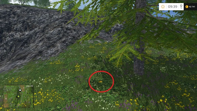 In the grass, right next to a tree - Section D - coins 45 - 54 - Gold coins - Farming Simulator 15 - Game Guide and Walkthrough