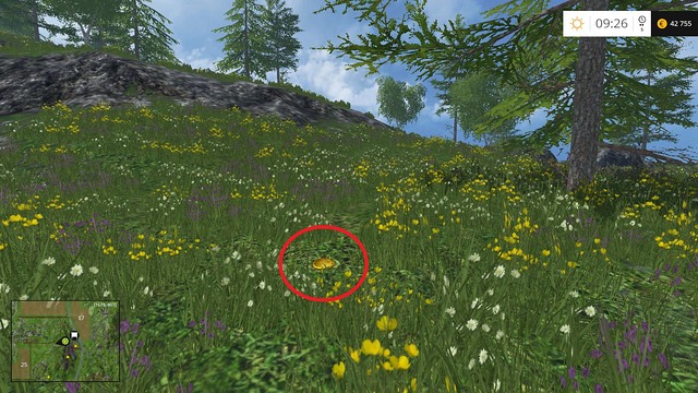 In the grass, near a tree - Section D - coins 45 - 54 - Gold coins - Farming Simulator 15 - Game Guide and Walkthrough