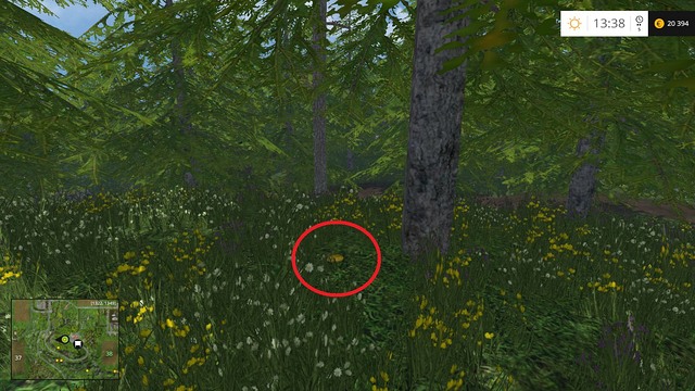 In the grass, under a tree - Section F - coins 70 - 89 - Gold coins - Farming Simulator 15 - Game Guide and Walkthrough