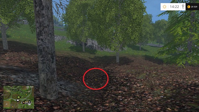 Also on the leaf litter, between two trees - Section G - coins 90 - 100 - Gold coins - Farming Simulator 15 - Game Guide and Walkthrough