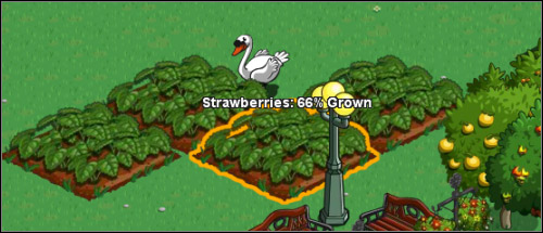 Moving the cursor over the field shows us the current phase of the crop - Crops - Farm management - FarmVille - Game Guide and Walkthrough