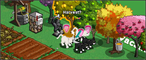 Someone had no time to care for the poor kittens. Fortunately, you can always do this for him. - Neighbors - Social aspects - FarmVille - Game Guide and Walkthrough