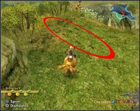 Chocobo, big, two legged birds similar to our ostriches, is a very popular way of traveling - Short manual - Misc - Final Fantasy XII - Game Guide and Walkthrough