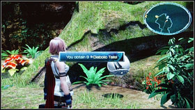 You will find next chest ear the waterfall - Walkthrough - Chapter XI - Part 1 - Walkthrough - Final Fantasy XIII - Game Guide and Walkthrough