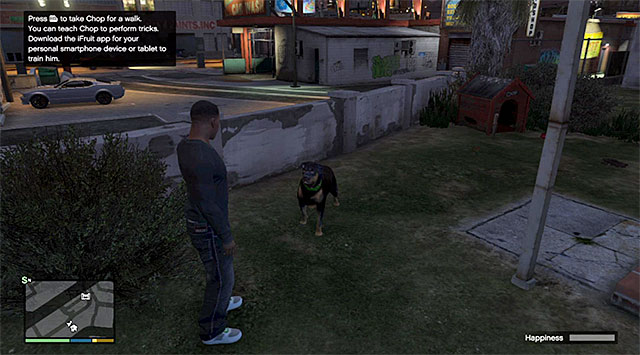 Two basic modes of interaction with the dog is walking him and throwing him a ball - Chop - Friendships and Love Affairs - Grand Theft Auto V - Game Guide and Walkthrough