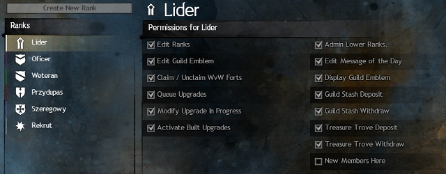 Proper set of permissions make the control over the guild easier - Guild organization - Guilds - Guild Wars 2 - Game Guide and Walkthrough
