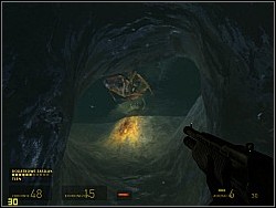 There you'll have to deal with antlions and barnacles, which hang at the ceiling and try to get you with their tongue - To the White Forest p. II - Walkthrough - Half-Life 2: Episode Two - Game Guide and Walkthrough