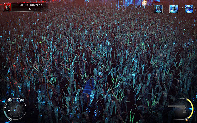 Ignore the main entrance to the farm and proceed towards the nearest cornfield - Cornfield - Murdering Louisa Candy Cain - 14: Attack of the Saints - Hitman: Absolution - Game Guide and Walkthrough