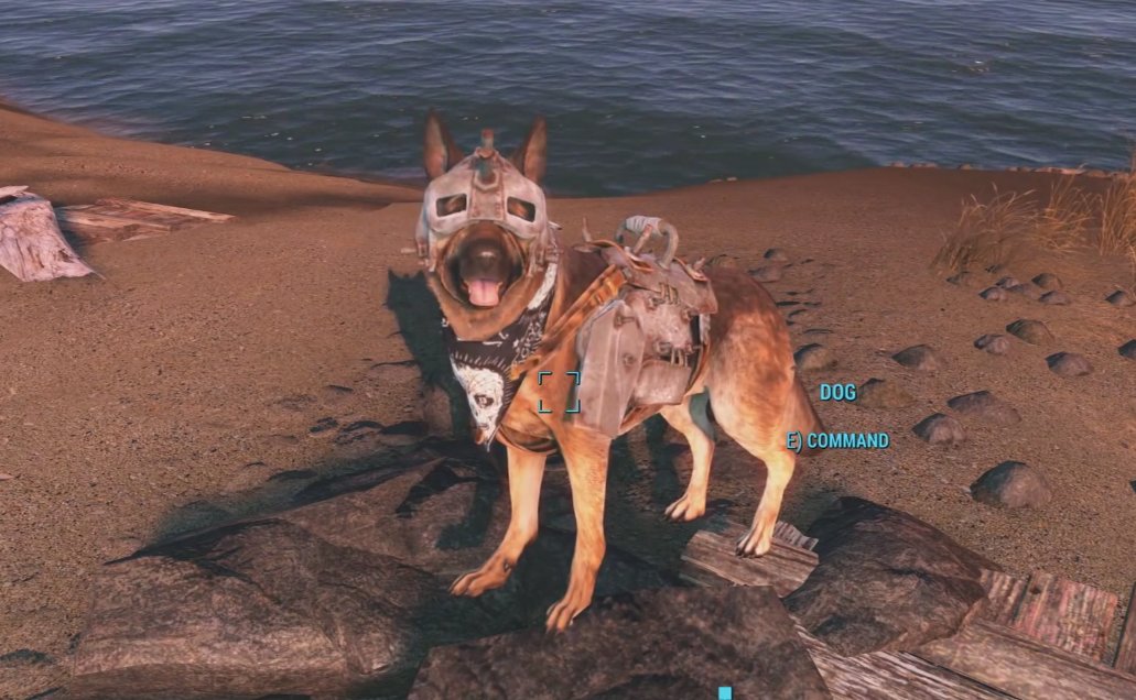 Fallout 4: Where to Find Armor for Dogmeat and How to Have It Equip Armor