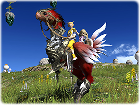 Red Draught Chocobo FFXIV