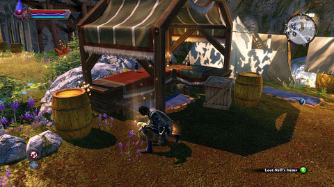 The fourth is inside Nell's bag - The Wolds - p.2 - Side missions - Kingdoms of Amalur: Reckoning - Game Guide and Walkthrough