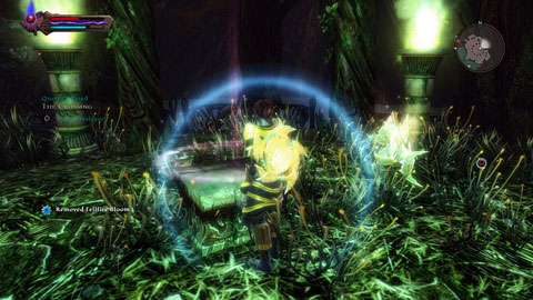 Once he is dead, put the plant on the nearby altar and then return to talk to the underground guard - Alserund - p. 2 - Side missions - Kingdoms of Amalur: Reckoning - Game Guide and Walkthrough
