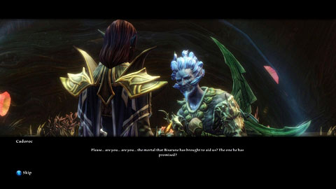 Your second task is to find a poisoned Fae boy named Cadoroc - Drowned Forest - p. 1 - Side missions - Kingdoms of Amalur: Reckoning - Game Guide and Walkthrough