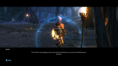 After his death, leave the Tuatha's camp and talk to Aluck standing behind the barricade, thus ending the mission - Twilight Pass - p. 1 - Side missions - Kingdoms of Amalur: Reckoning - Game Guide and Walkthrough