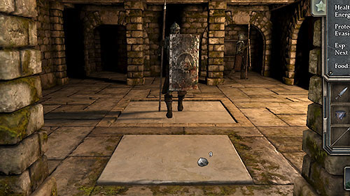 Don't worry, as there's a wonderful way to fight them - in the middle of the room there's a trap door activated by putting an item or just standing on it - Level 3: Pillars of Light - Walkthrough - Legend of Grimrock - Game Guide and Walkthrough