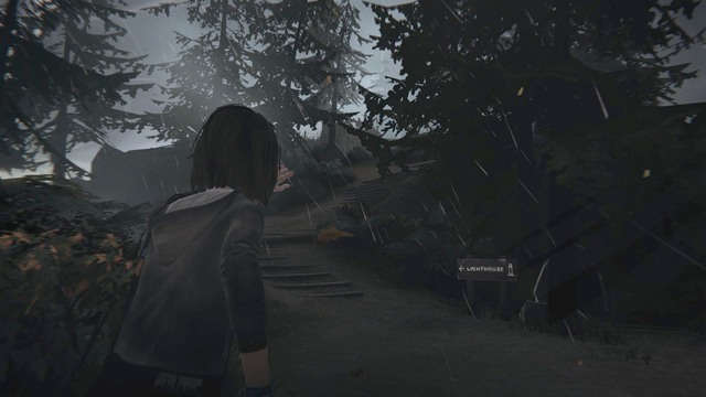 After gaining back the control over the character move forward and go up the hill (it is the only possible way so it is impossible to get lost) - Chapter 1 - Walkthrough - Life is Strange - Game Guide and Walkthrough