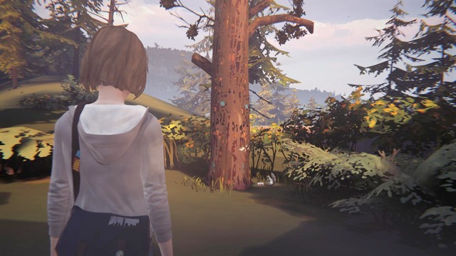 You can take the next one when Victoria and her friends are in your way to the dormitory - Photos - Life is Strange - Game Guide and Walkthrough