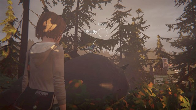 Youll find the last but one photo Chile running away from Chloes house - Photos - Life is Strange - Game Guide and Walkthrough