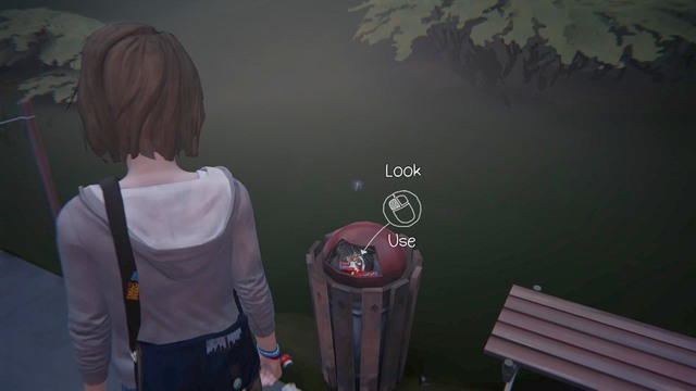 Regardless of the choice youve made at the end of the previous chapter, the course of the game will be the same - Chapter 2 - Walkthrough - Life is Strange - Game Guide and Walkthrough