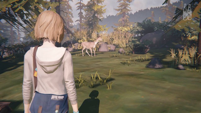 This one can be taken by going to the back of the school bus - Photos - Life is Strange - Game Guide and Walkthrough