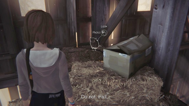 Photo #8 - Photos - Life is Strange - Game Guide and Walkthrough